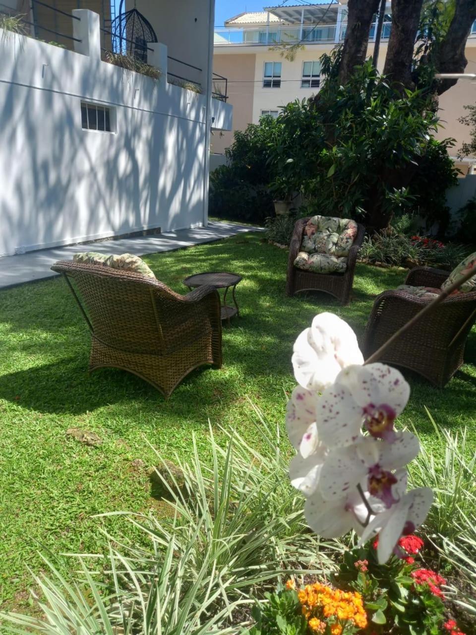 A Primeira Vista — Photos 3